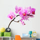 Isolated Orchid Wall Decal