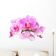 Pink Orchids Wall Decal