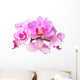 Pink Orchids Wall Decal