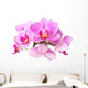 Pink Orchids Wall Decal