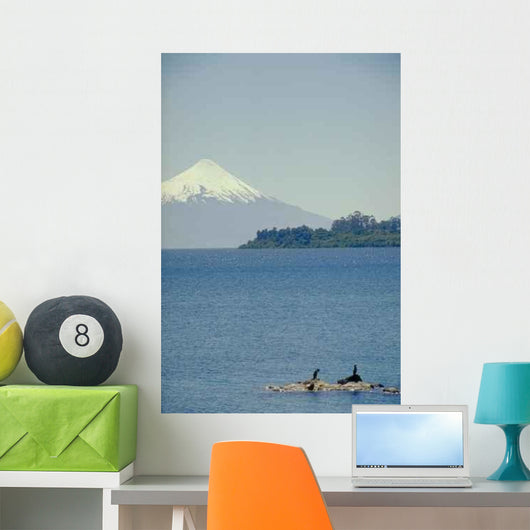 Orsono Wall Decal