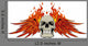 Skull Wings and Flames Wall Decal