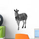 Zebra Isolated on White Background Wall Decal