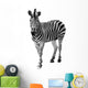 Zebra Isolated on White Background Wall Decal