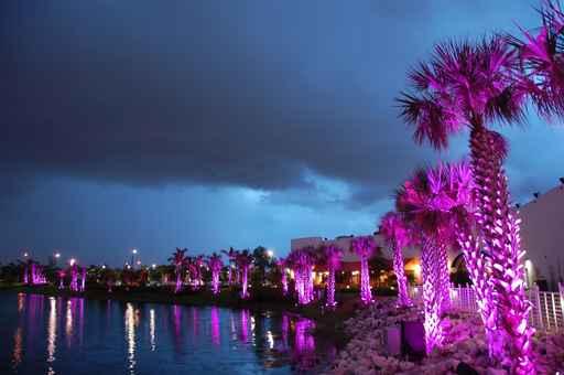 Palms under Purple Light Wall Decal