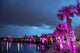 Palms under Purple Light Wall Decal