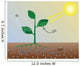 Photosynthesis (scheme) Wall Mural