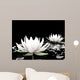 Lotus Water Wall Mural