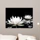 Lotus Water Wall Mural