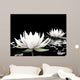 Lotus Water Wall Mural