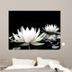 Lotus Water Wall Mural