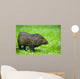 Collared Peccary or Javelina Pecari Tajacu Wall Mural