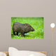 Collared Peccary or Javelina Pecari Tajacu Wall Mural