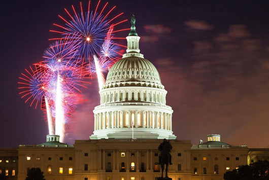 United States Capitol Building Wall Decal