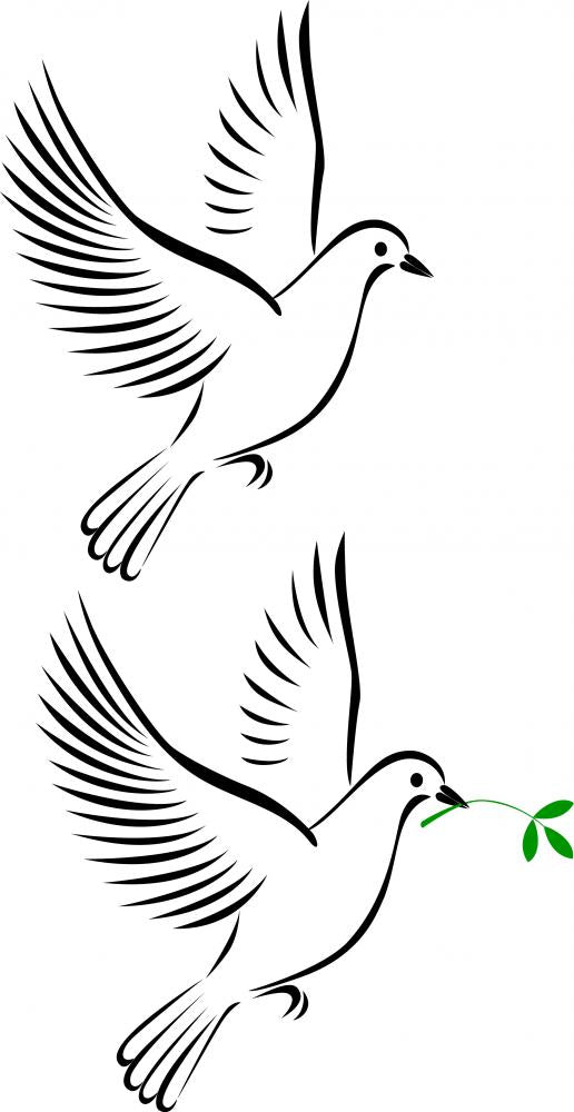 Flight Dove Wall Mural