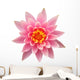 Open Pink Water Lily Wall Decal