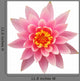 Open Pink Water Lily Wall Decal