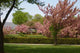City Park Wall Decal Design 2
