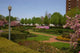 City Park Wall Decal Design 1