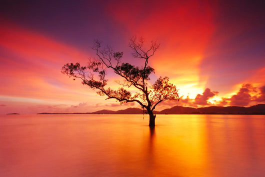 Beautiful Sky