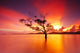 Beautiful Sky