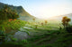 Bali Wall Mural