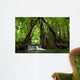 Waterfall Wall Mural