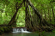 Waterfall Wall Mural
