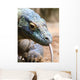 Colorful Komodo Wall Mural