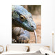Colorful Komodo Wall Mural