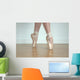 Ballet Shoes Wall Mural
