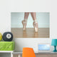 Ballet Shoes Wall Mural