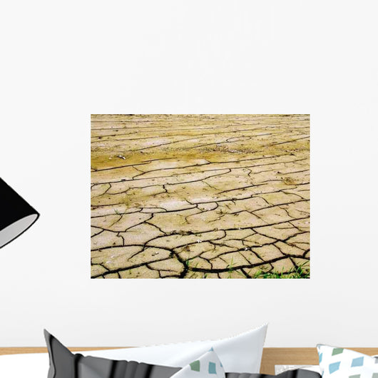 Trockene Erde Wall Decal