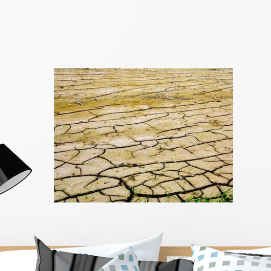 Trockene Erde Wall Decal