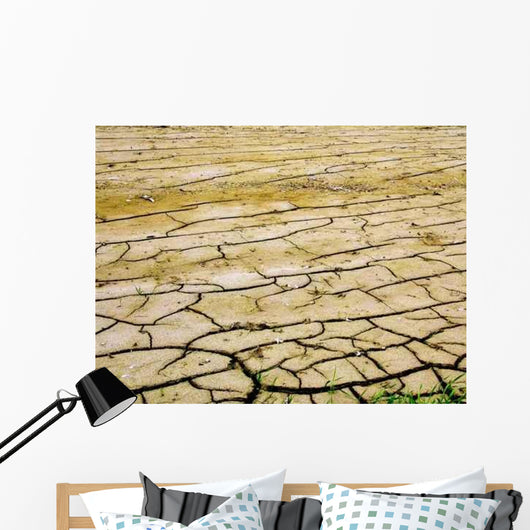 Trockene Erde Wall Decal