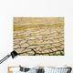 Trockene Erde Wall Decal