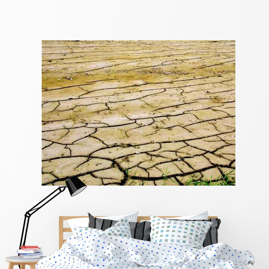 Trockene Erde Wall Decal