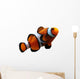 Clownfish (isolated) Wall Decal