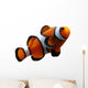Clownfish (isolated) Wall Decal