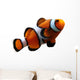 Clownfish (isolated) Wall Decal