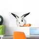Rabbit Animal Wall Mural