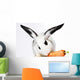 Rabbit Animal Wall Mural