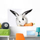 Rabbit Animal Wall Mural