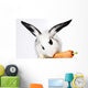 Rabbit Animal Wall Mural