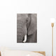 Elefant