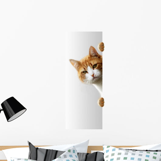 Verspielte Katze