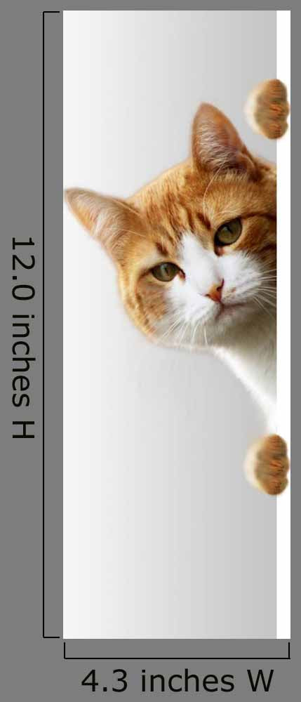 Verspielte Katze
