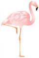 Flamingo in vector Wall Decal