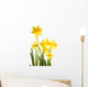 Daffodil Wall Decal