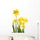 Daffodil Wall Decal
